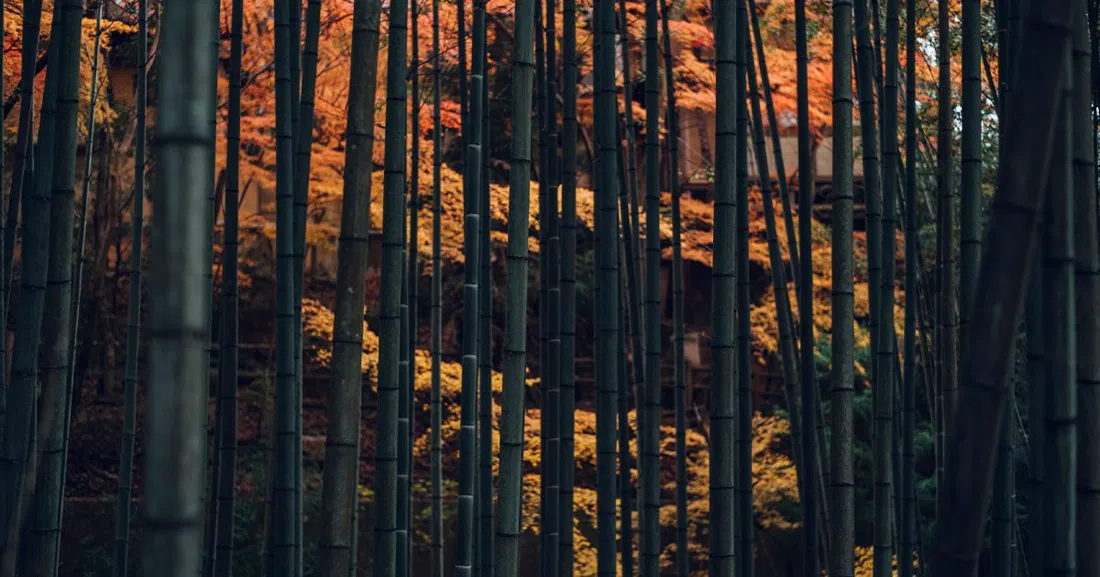Enkō-ji, Kyoto
