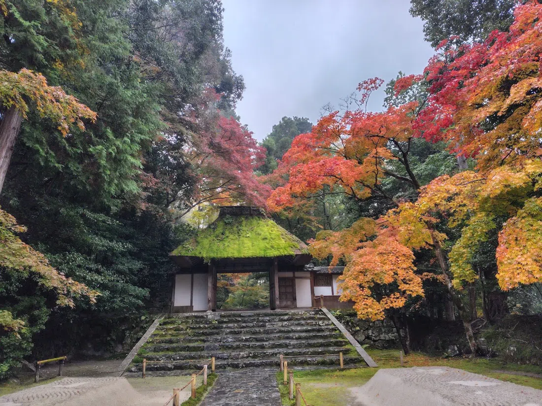 Honen-in, Kyoto