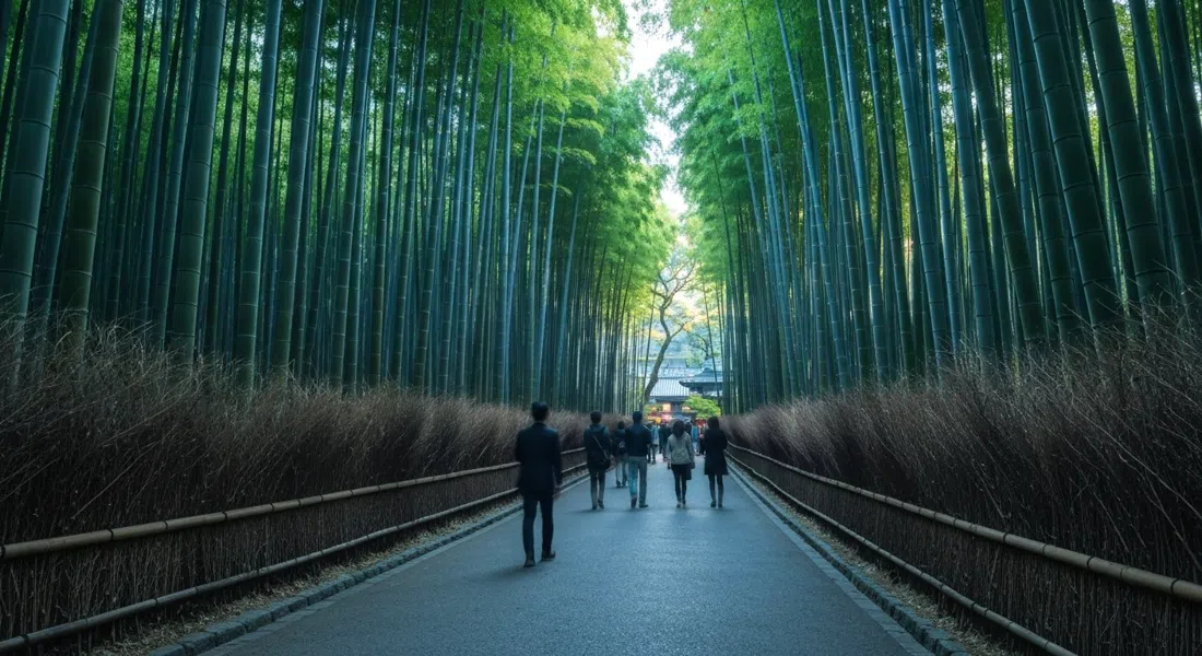 el bosque de bambú de Arashiyama al amanecer, altos tallos verdes a ambos lados del sendero vacío, suave luz azul filtrándose entre los troncos
