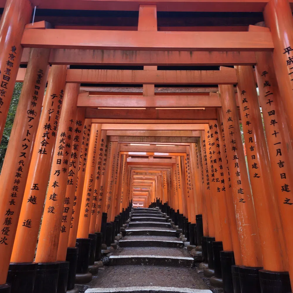 Walking Kyoto's Fushimi Inari Gates Before the October Crowds
